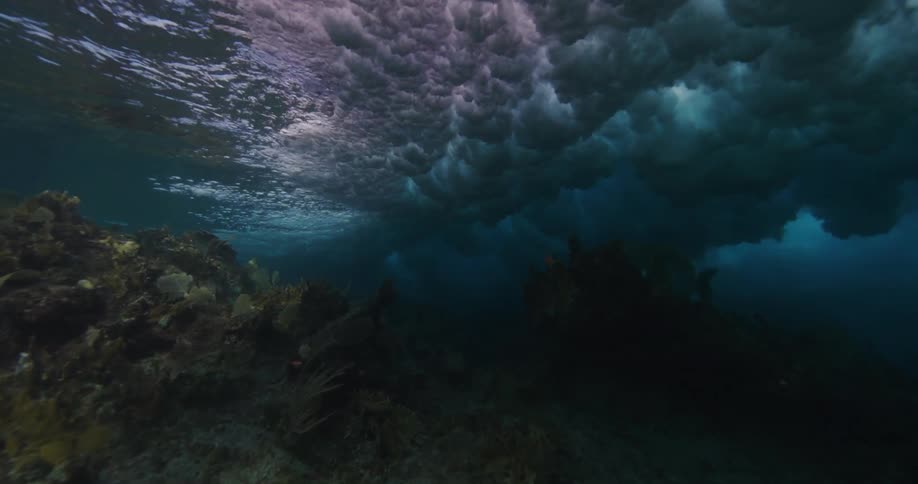 Sunlight shines on the surface and reflects ripples and splashing as a wave rolls over as fish swim along the seabed