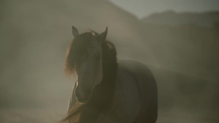Lone horse stands on sand during dust storm with mountains in the background