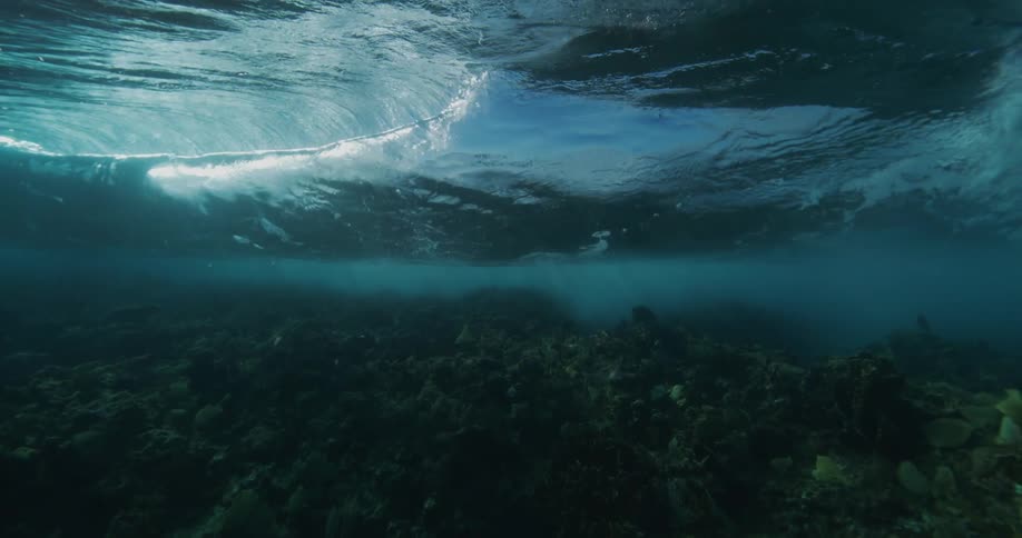 A rolling wave can be seen from beneath the surface of the ocean