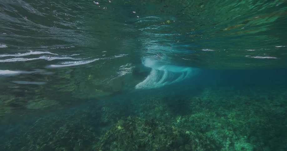Sunlight shines above the surface and reflects on water as fish swim near the seabed and a wave rolls overhead