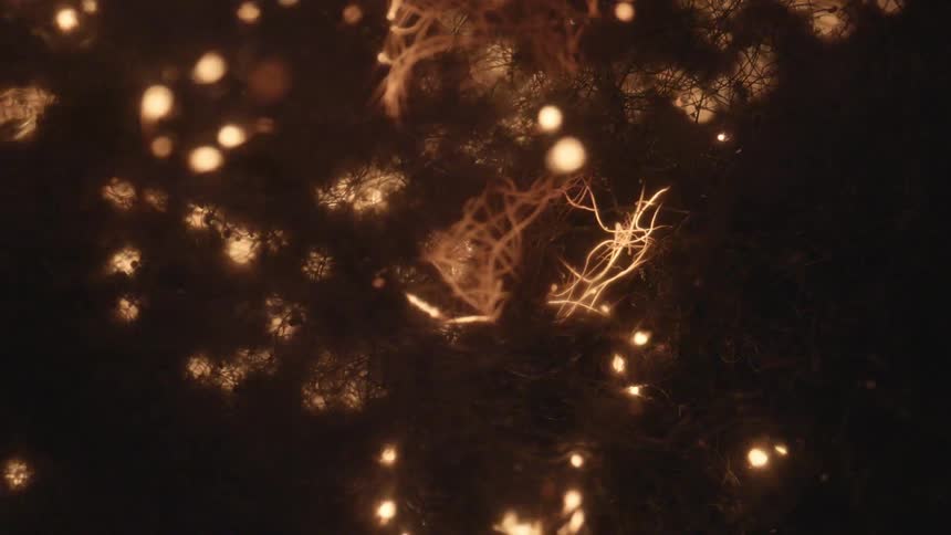 Sparks burst and fly across a black background