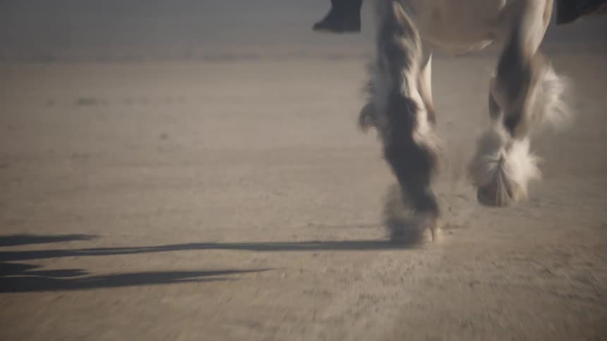 A horse running with a rider riding in black