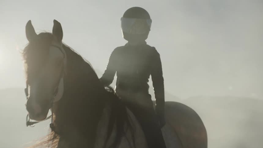 Woman in black helmet leather jacket and pants sits on white horse in the desert