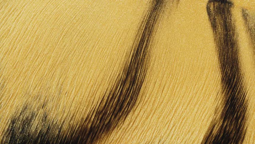 Flowing golden and black liquid