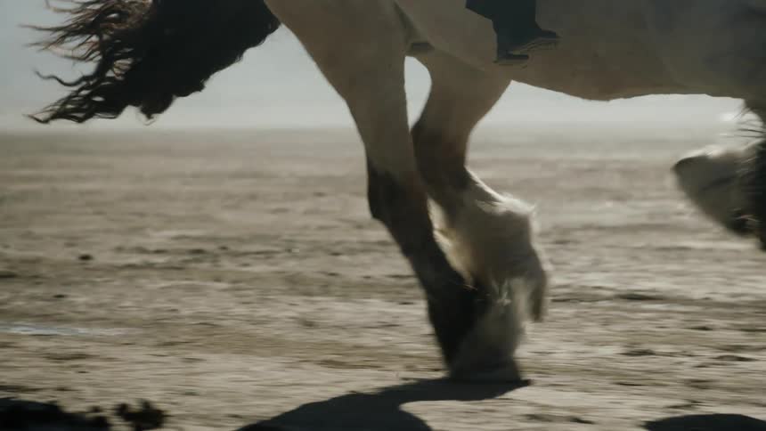 A person is riding a large horse in the desert