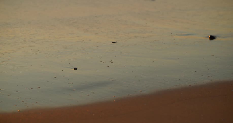 Waves rolling onto a sandy beach