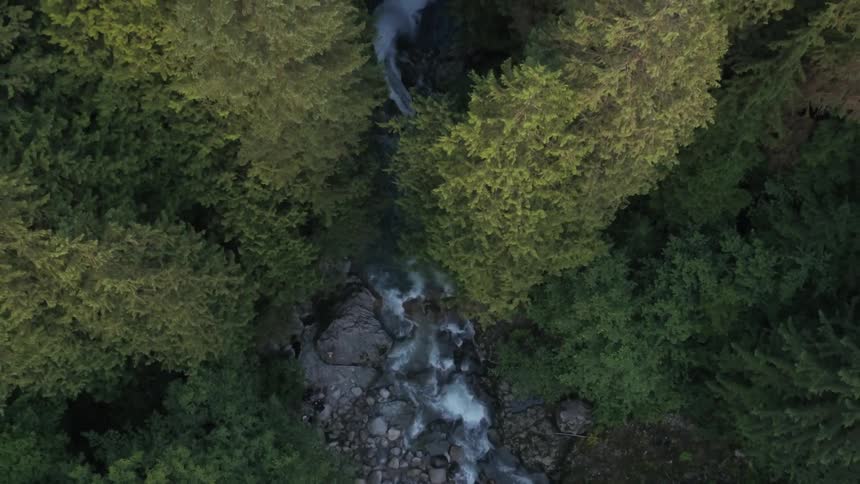 Aerial view of a small stream flowing through a forest