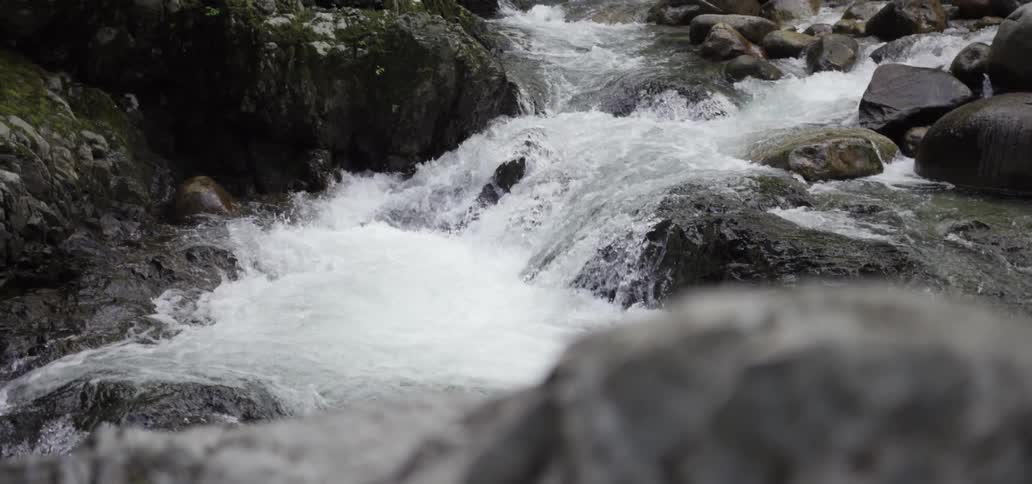 Rapids have fast moving water and large rocks