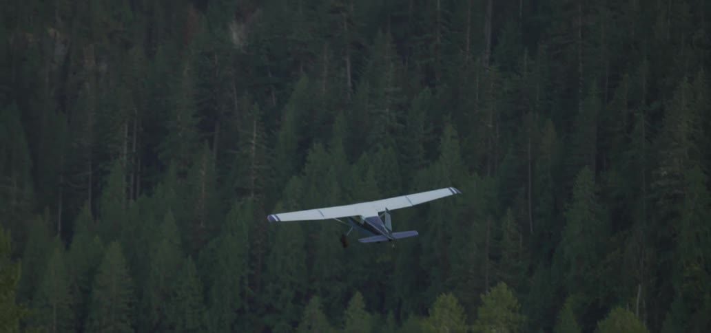 A plane flies over a forest