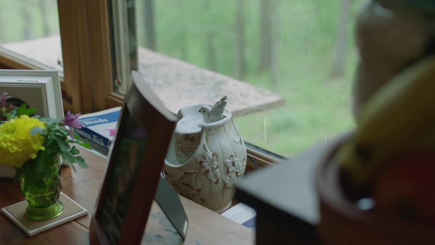 Outside the window is a forest