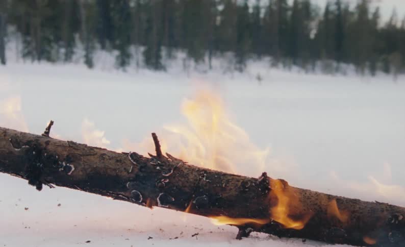 Wood burning on in the snowy field with forest in the background