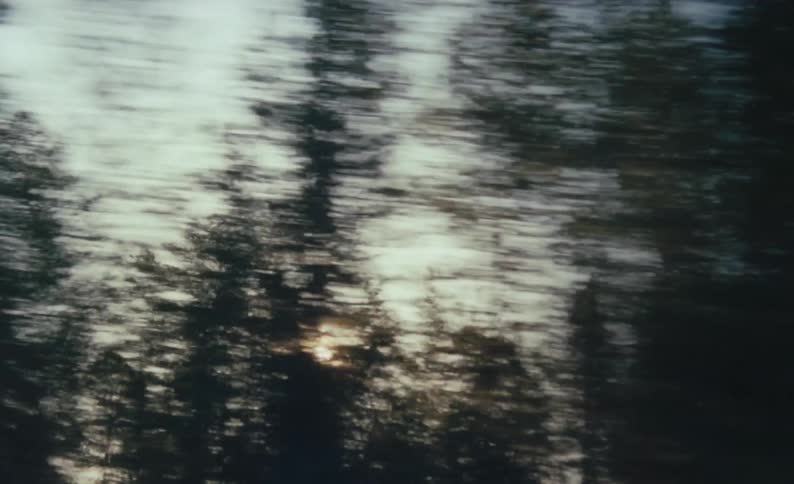A fast silhouette of a tree line
