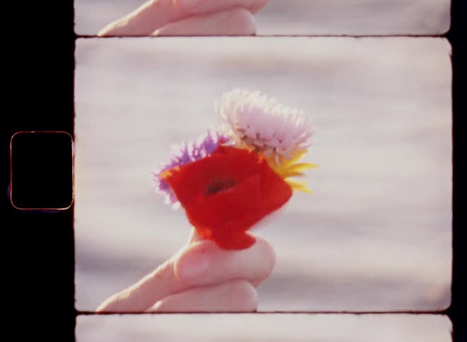 A white female person is holding a small bouquet of colourful wild flowers in her hand near water with gentle waves rolling over the surface and the wind makes the vibrant petals move in the breeze