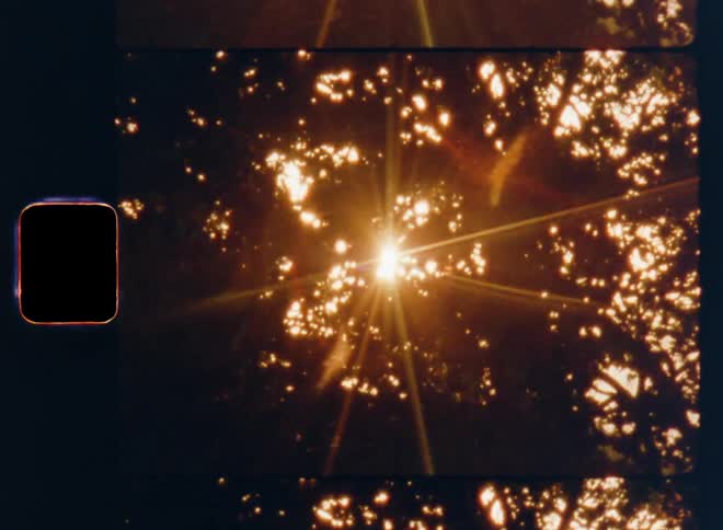 Bright sunlight shining through backlit tree leaves blowing in the wind flickering and flaring with glare during evening sunset in golden hour or morning sunrise with dynamic movement of the abstract texture with glinting and sparkling light reflections