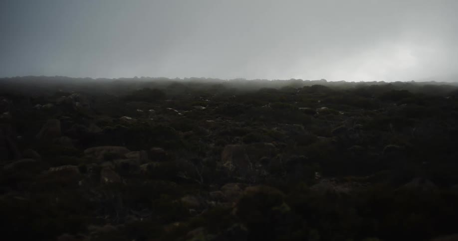 The view is of the nature area in the middle of the day time