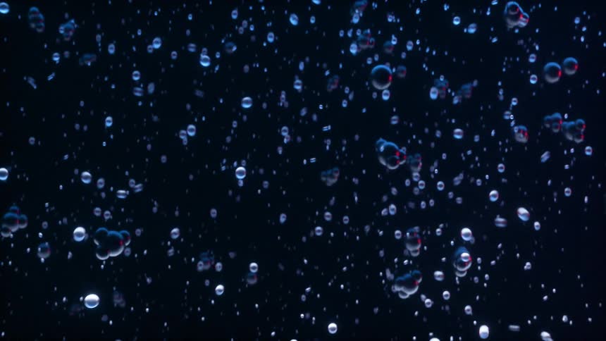 Bubbles float around in the water