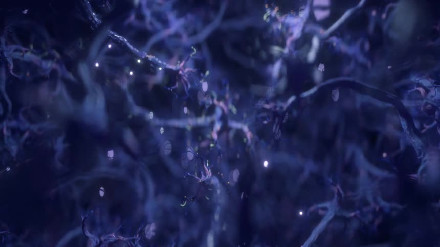 Neurons inside the human brain with synapses firing