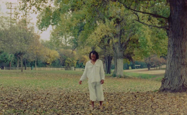 A man is dancing in an open field by himself