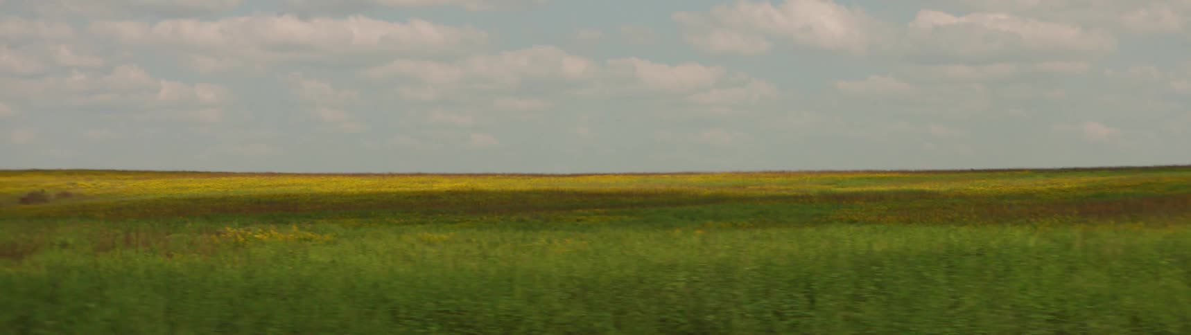 Road trip drives past field stretching to horizon under a cloudy sky