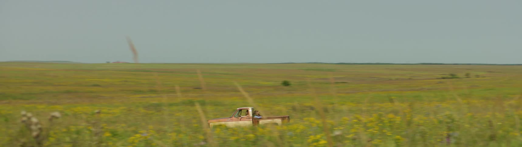 A pickup truck with three passengers drives by on a rural road in a grassy area in the daytime