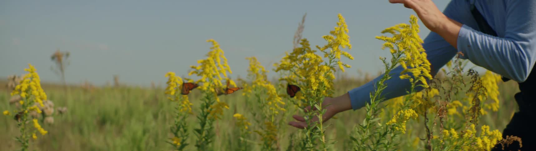The view is of a woman outdoors in the nature area