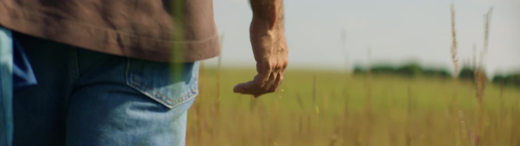 Man walking in grass