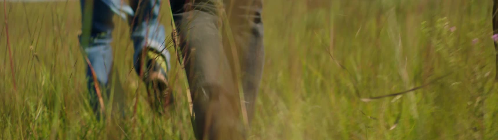 A group of people are running through a grassy field on a sunny day