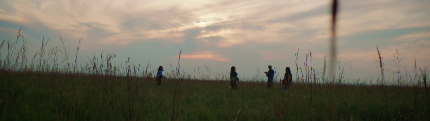 A girl in a field with three other people does a cartwheel