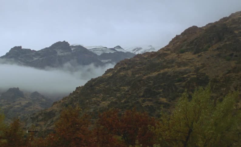 Trees stand near mountains as thick fog lingers between the mountain ridge