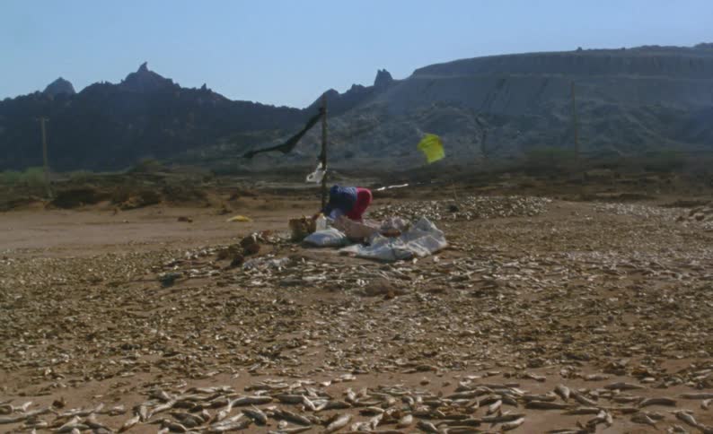A person setting up a camp