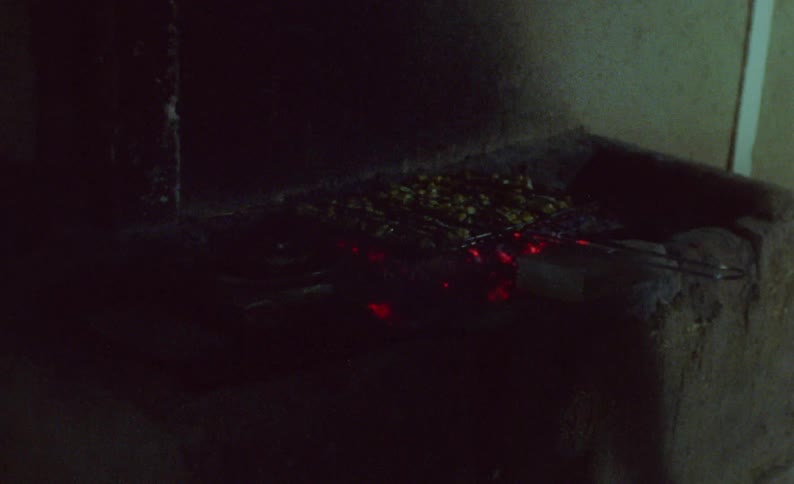 A person blowing on coals where food is cooking over