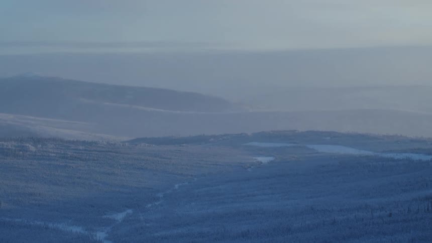 An aerial view of a forest covered in snow