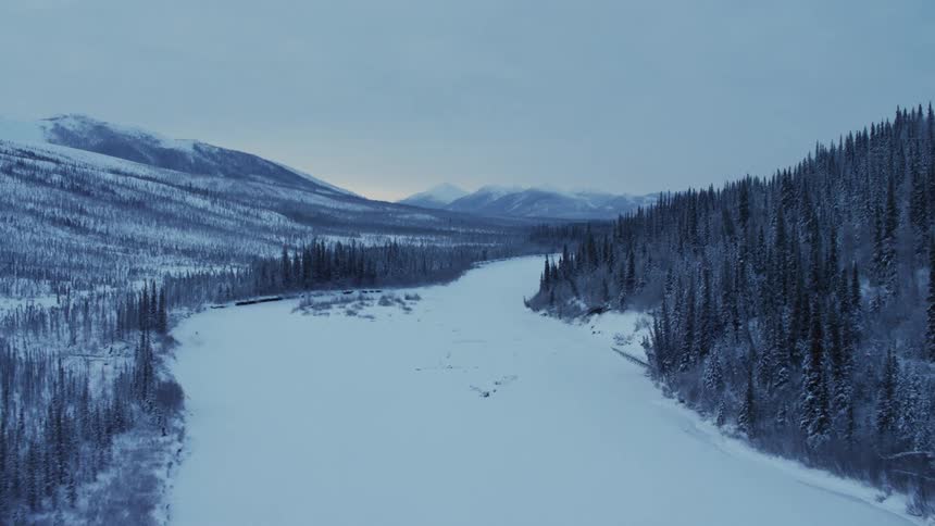 Aerial view of snowy coniferous forest and open area
