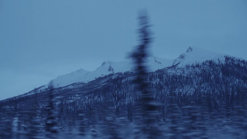 Landscape of snowy forest with mountains