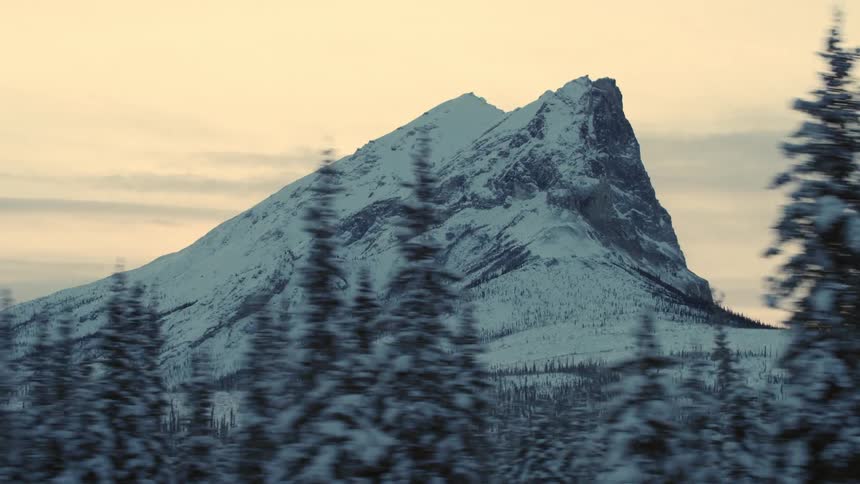 Mountain kept in frame while trees come accross