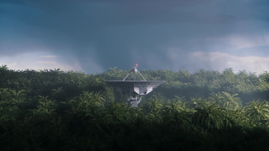 A large satellite dish is in the middle of the forest