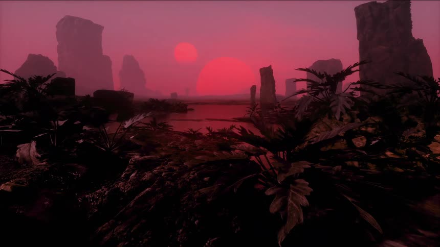 Alien plants growing on a strange landscape with a twin binary sunset