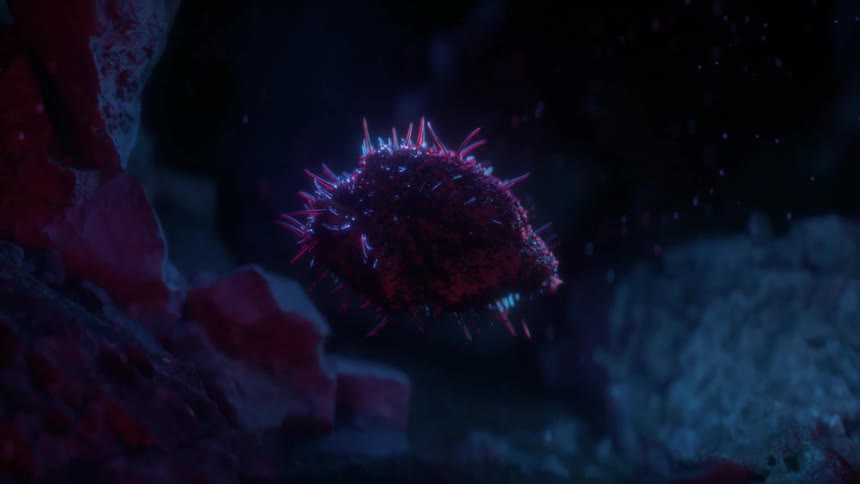 Pink and blue tentacles emerge from a rock floating near ground in dark area