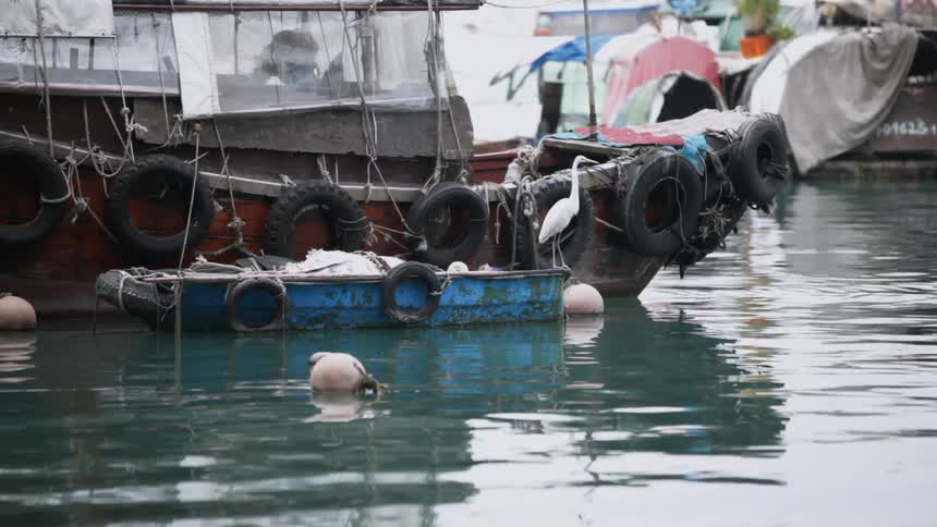 A crane sits atop a fishing boat in Hong Kong Harbor