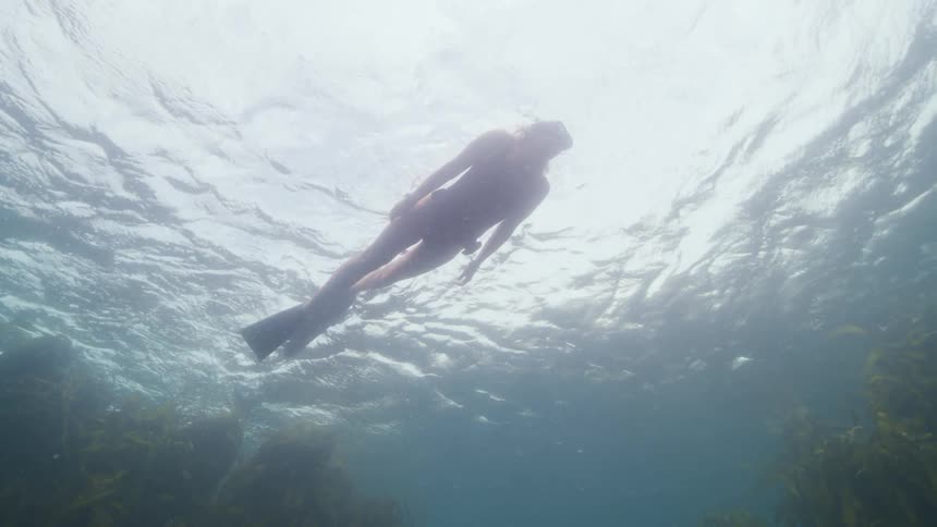 Woman in swimsuit and fins swims underwater