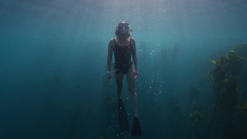 Female snorkeler swims up through kelp bed and threads water after surfacing