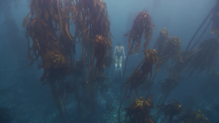Under water footage of a woman swimming in the ocean