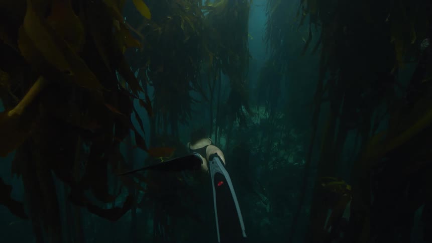 A scuba diving in the ocean water