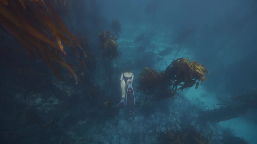 A woman swimming underwater with flippers on through seaweed
