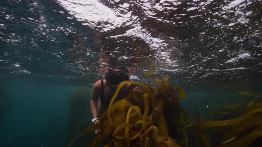 Woman with swimsuit snorkel and mask swims in water