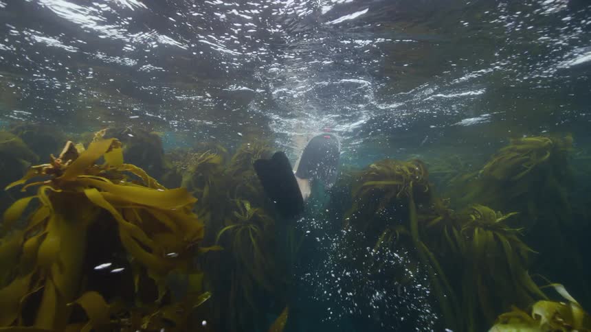 Woman in black swimsuit and fins and mask with snorkel swims underwater