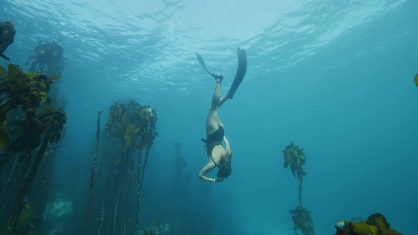 A woman is diving under the ocean water