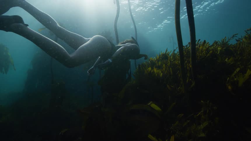 A woman wearing goggles and flippers swimming underwater above seaweed
