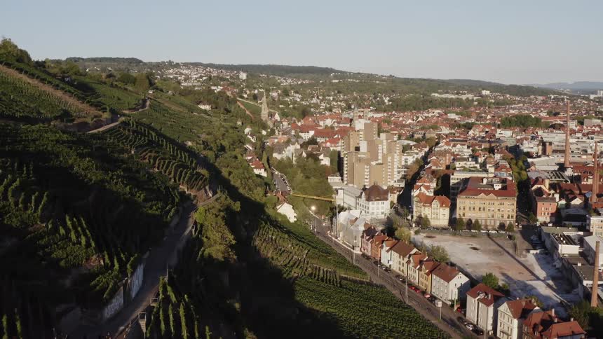 A sprawling town with red roof buildings at the base of a hill covered in vineyard vines