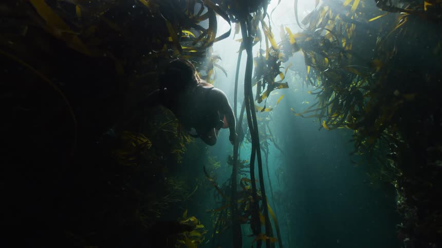 Female swimming through seaweed under the ocean waters